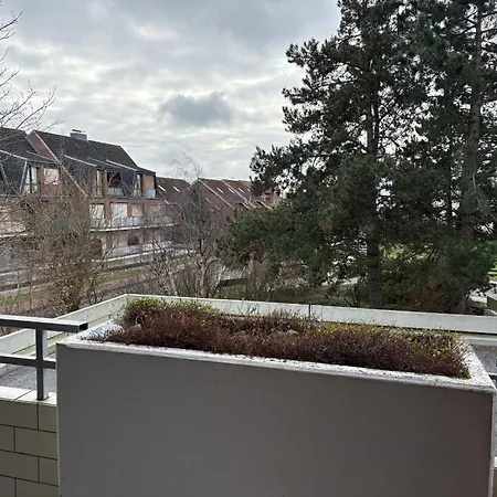 Berolina-110-ostseemuschel